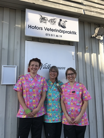 Frida Norrvik, Rosmarie Mähler och Pernilla Mähler står utanför dörren till Hofors veterinärpraktik och ler in i kameran