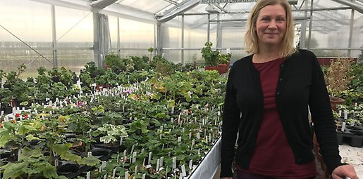 Linda Ekman, företagare i Hofors kommun